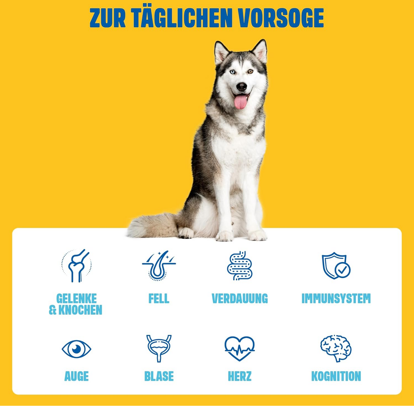 Multivitamin-Leckerlis, 60 Stück (270 g)