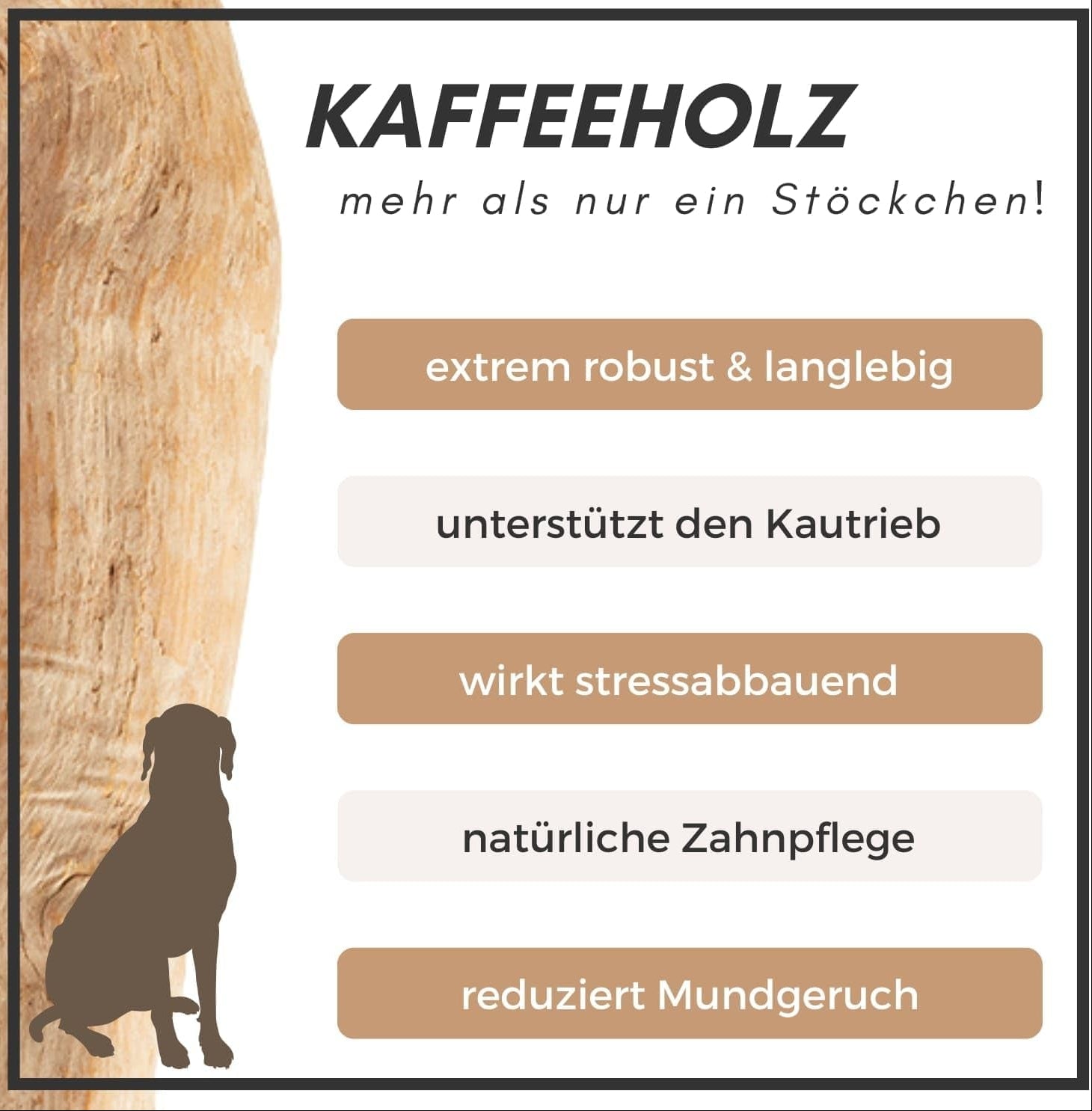 Supravit Natürlicher Kauknochen Aus Kaffeeholz Für Welpen XS | Mehr Als EIN Holzstäbchen - Spannendes Welpen Kauspielzeug & Langanhaltende Beschäftigung | Kaustab Kauholz Für Welpen