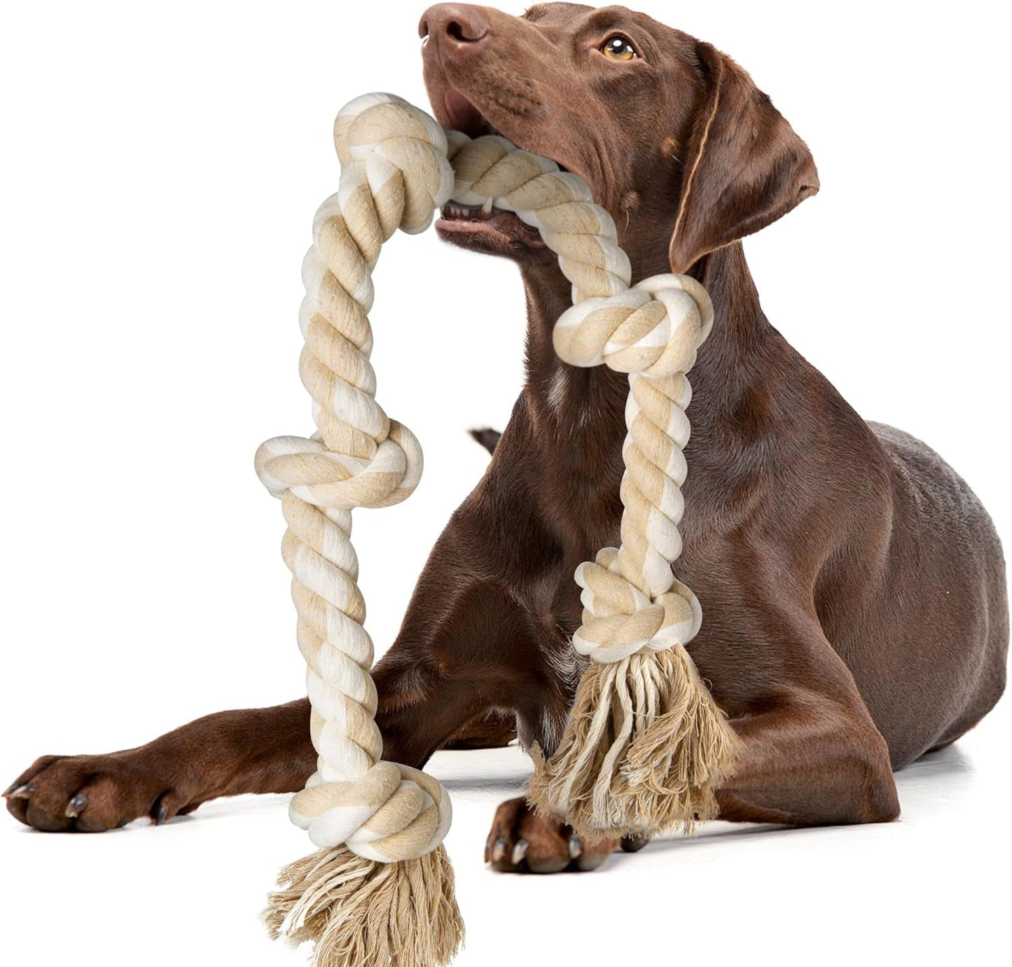 Fida Hundespielzeug Aus Seil Für Aggressive Kauer, Interaktives, Robustes Hundespielzeug Für Mittelgroße Und Große Hunde, Robustes Gedrehtes Seilspielzeug Mit 5 Knoten