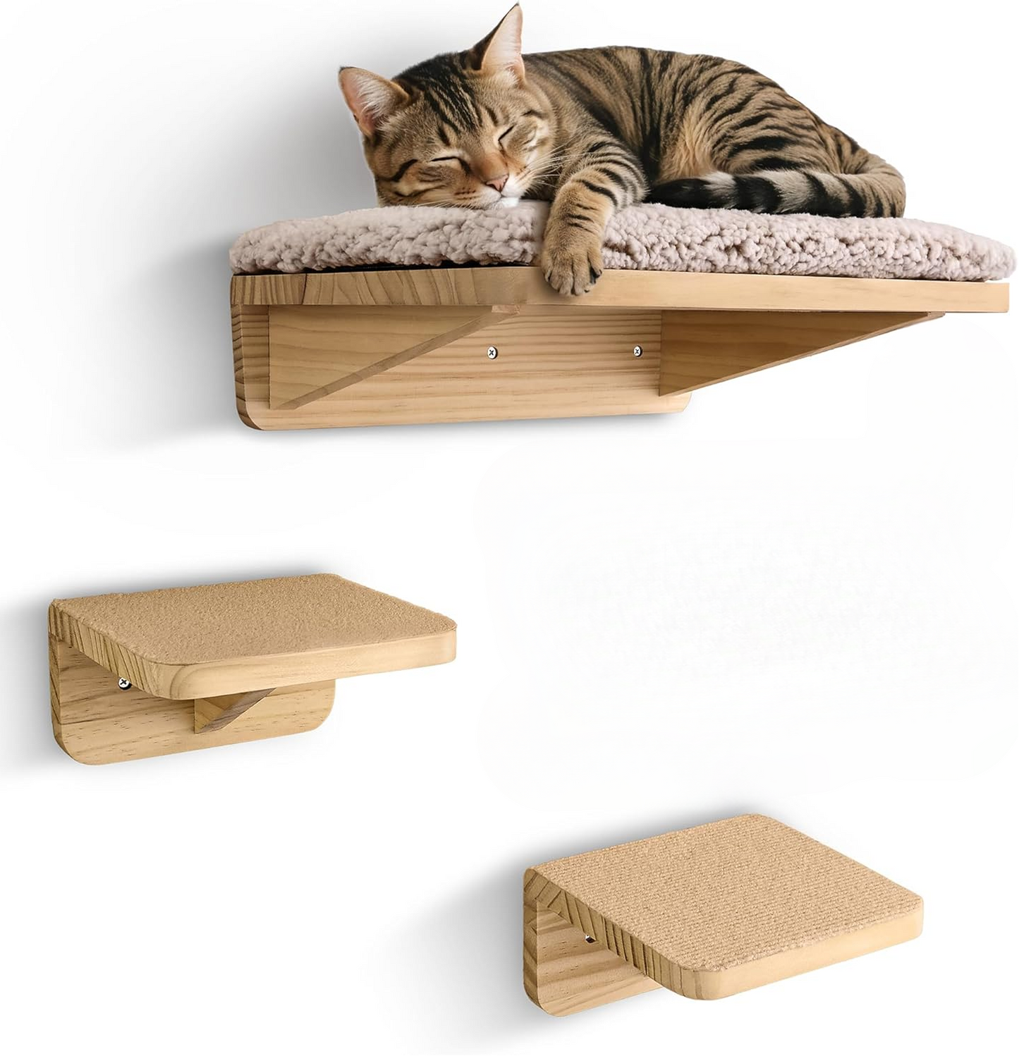 Set da parete per arrampicata per gatti