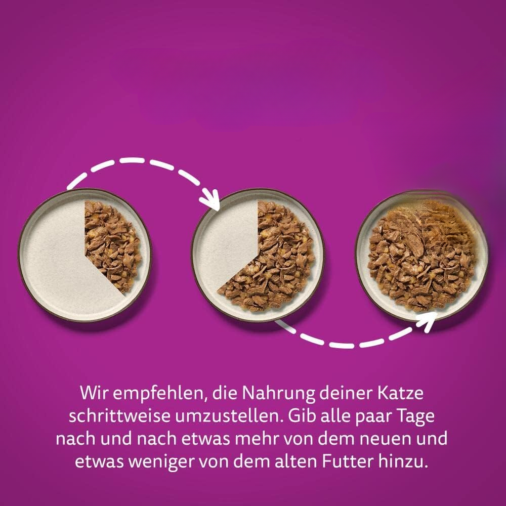 Cat Food Poultry 40 x 85g