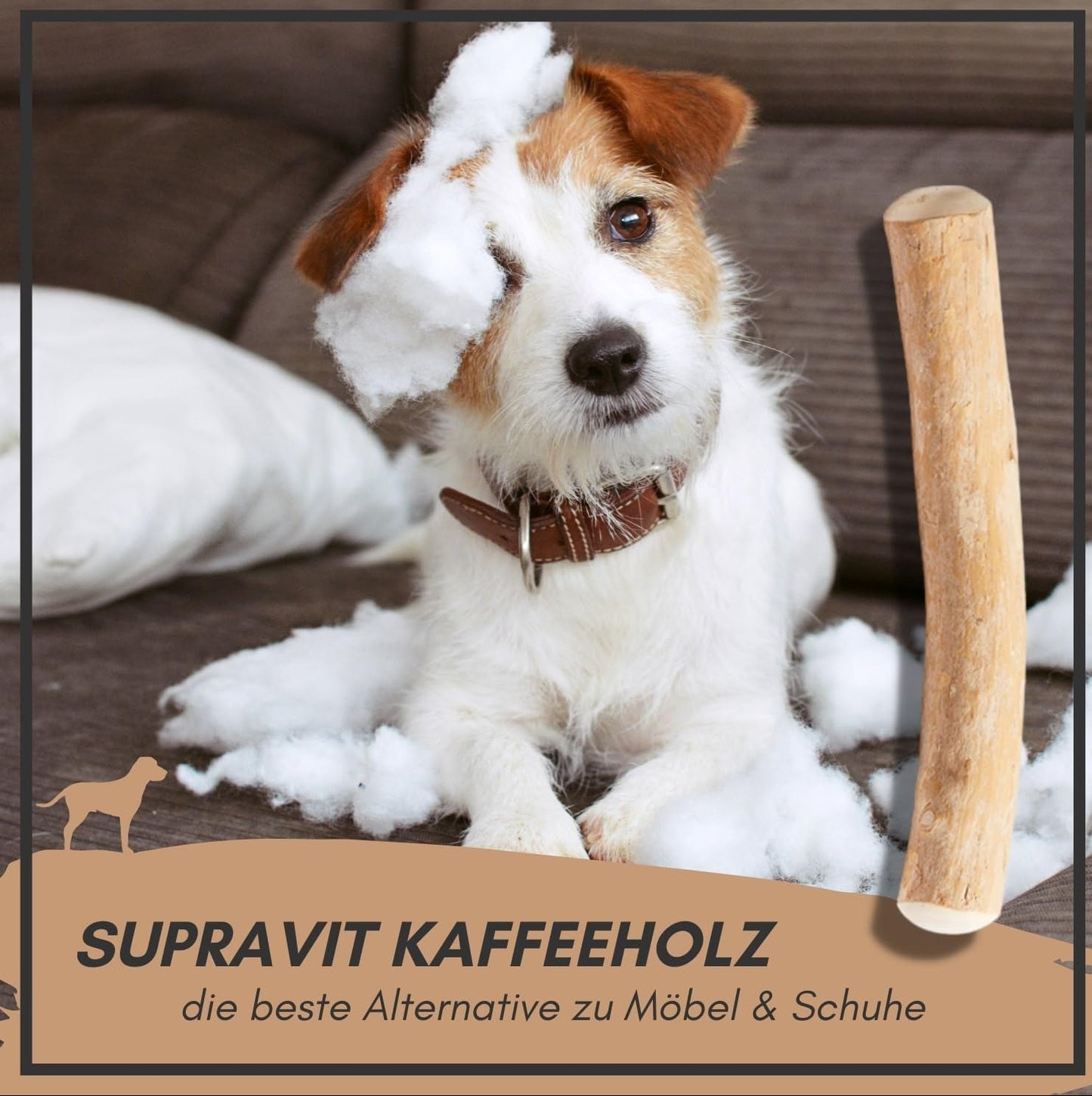 Supravit Natürlicher Kauknochen Aus Kaffeeholz Für Welpen XS | Mehr Als EIN Holzstäbchen - Spannendes Welpen Kauspielzeug & Langanhaltende Beschäftigung | Kaustab Kauholz Für Welpen