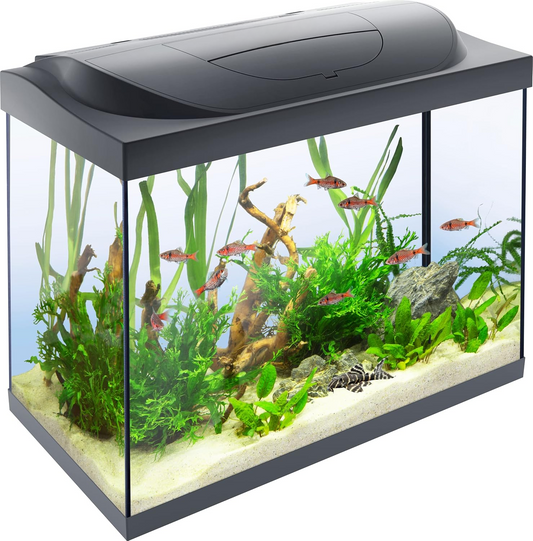 Aquarium 80L/105L