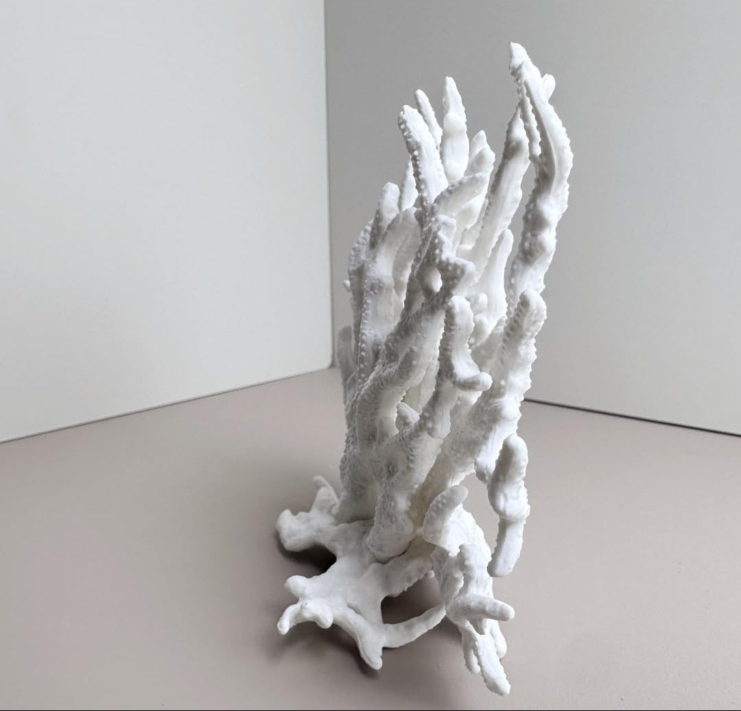 Holz Aquarium-Deko Gefälschte Koralle, Garnelen Aquarium & Aquarienpflanze Echt, Geeignet Für Kleine Bis Mittlere Aquarien (Weiß)