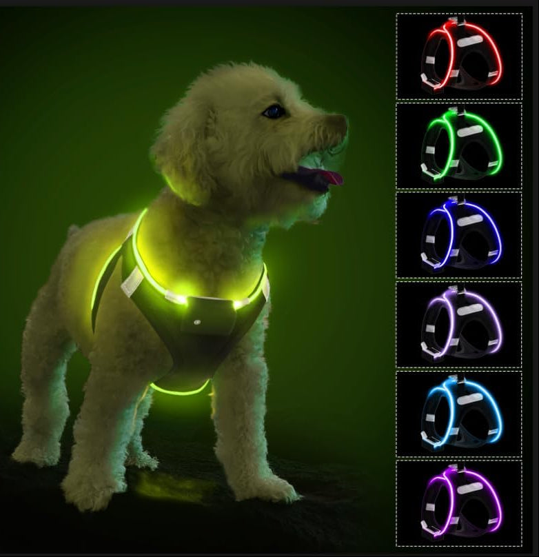 Pceotllar Hundegeschirr Leuchtend, Leuchtgeschirr LED Aufladbar & Reflektierendes, Beleuchtetes Leuchtgeschirr Für Welpe Klein Mittlere Hund, Atmungsaktiv Leucht Geschirr, Grün-S