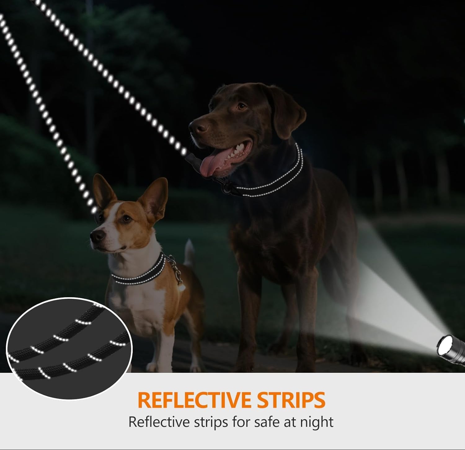 Taglory Doppelte Leinen/Hundeleine Doppelleine Für 2 Hunde/Keine Verwicklung Reflektierend Kletterseil/Verstellbar Splitterleinen/Schwarz