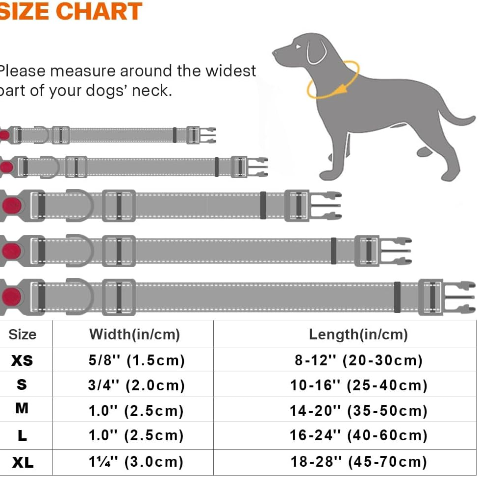 Padded Nylon Dog Collar