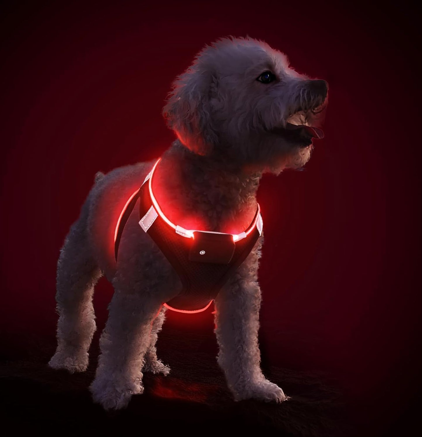 Pceotllar Hundegeschirr Leuchtend, Leuchtgeschirr LED Aufladbar & Reflektierendes, Beleuchtetes Leuchtgeschirr Für Welpe Klein Mittlere Hund, Atmungsaktiv Leucht Geschirr, Grün-S