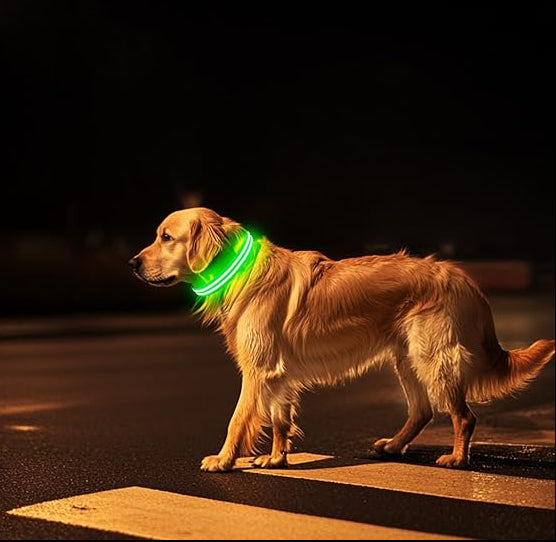 LED Light Dog Collar