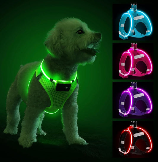 Pceotllar Hundegeschirr Leuchtend, Leuchtgeschirr LED Aufladbar & Reflektierendes, Beleuchtetes Leuchtgeschirr Für Welpe Klein Mittlere Hund, Atmungsaktiv Leucht Geschirr, Grün-S
