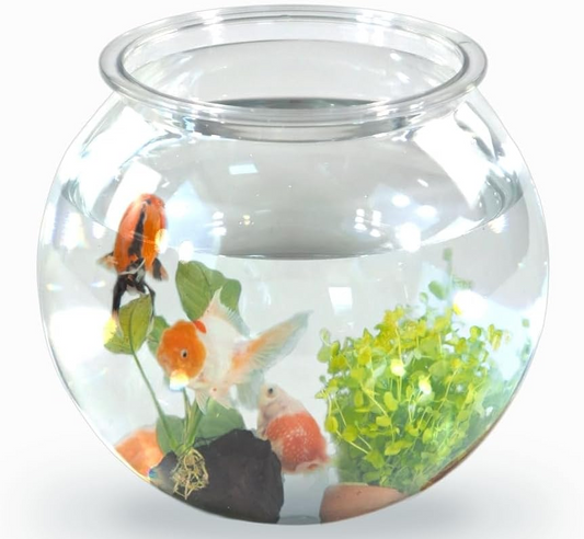 Nemo Ball Aquarium 4L