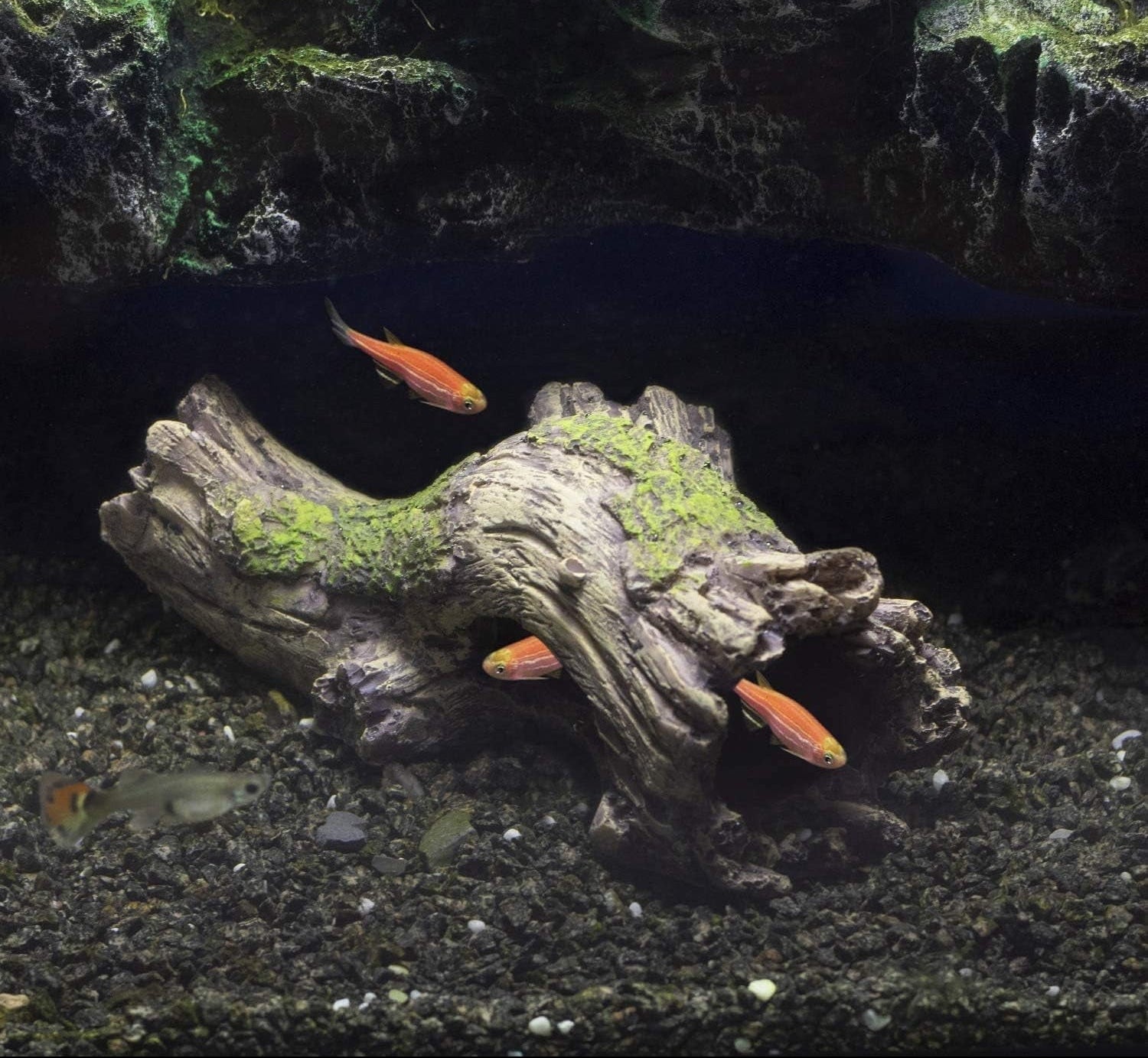 Aquarium Dekoration Baumstamm, Harz Höhle Aquarium Deko, Aqua Ornaments Ideal Für Kleine Garnele Fisch