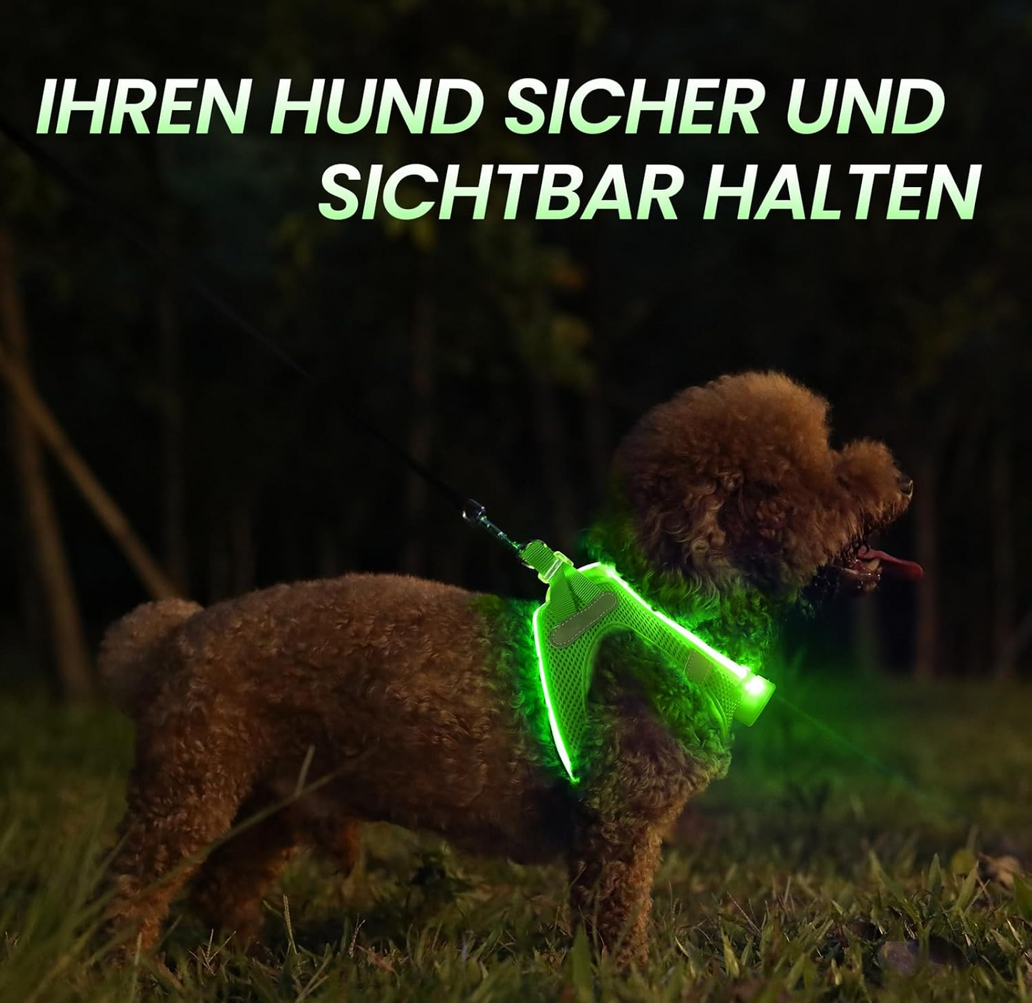 LED Light Dog Harness