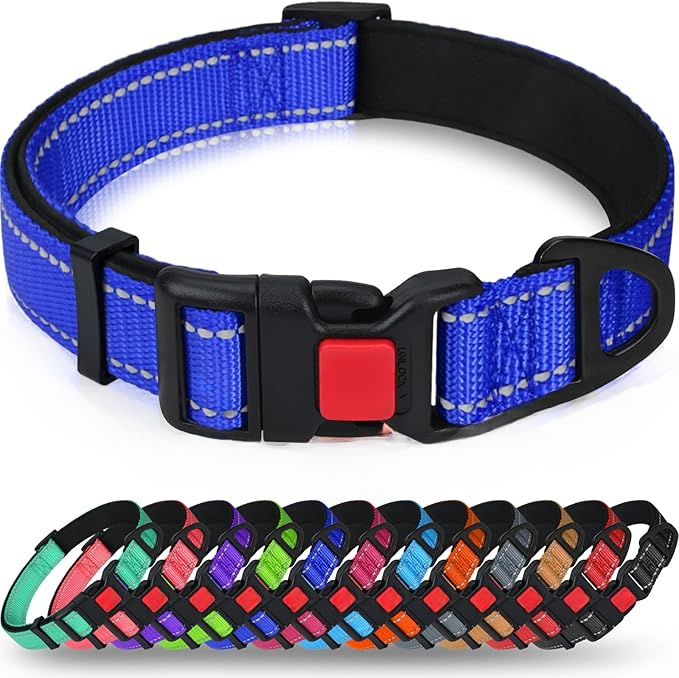 Padded Nylon Dog Collar