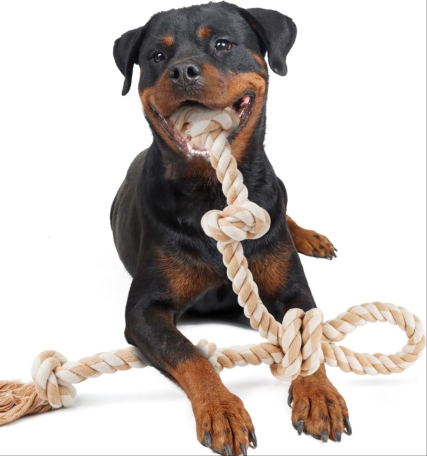 Fida Hundespielzeug Aus Seil Für Aggressive Kauer, Interaktives, Robustes Hundespielzeug Für Mittelgroße Und Große Hunde, Robustes Gedrehtes Seilspielzeug Mit 5 Knoten