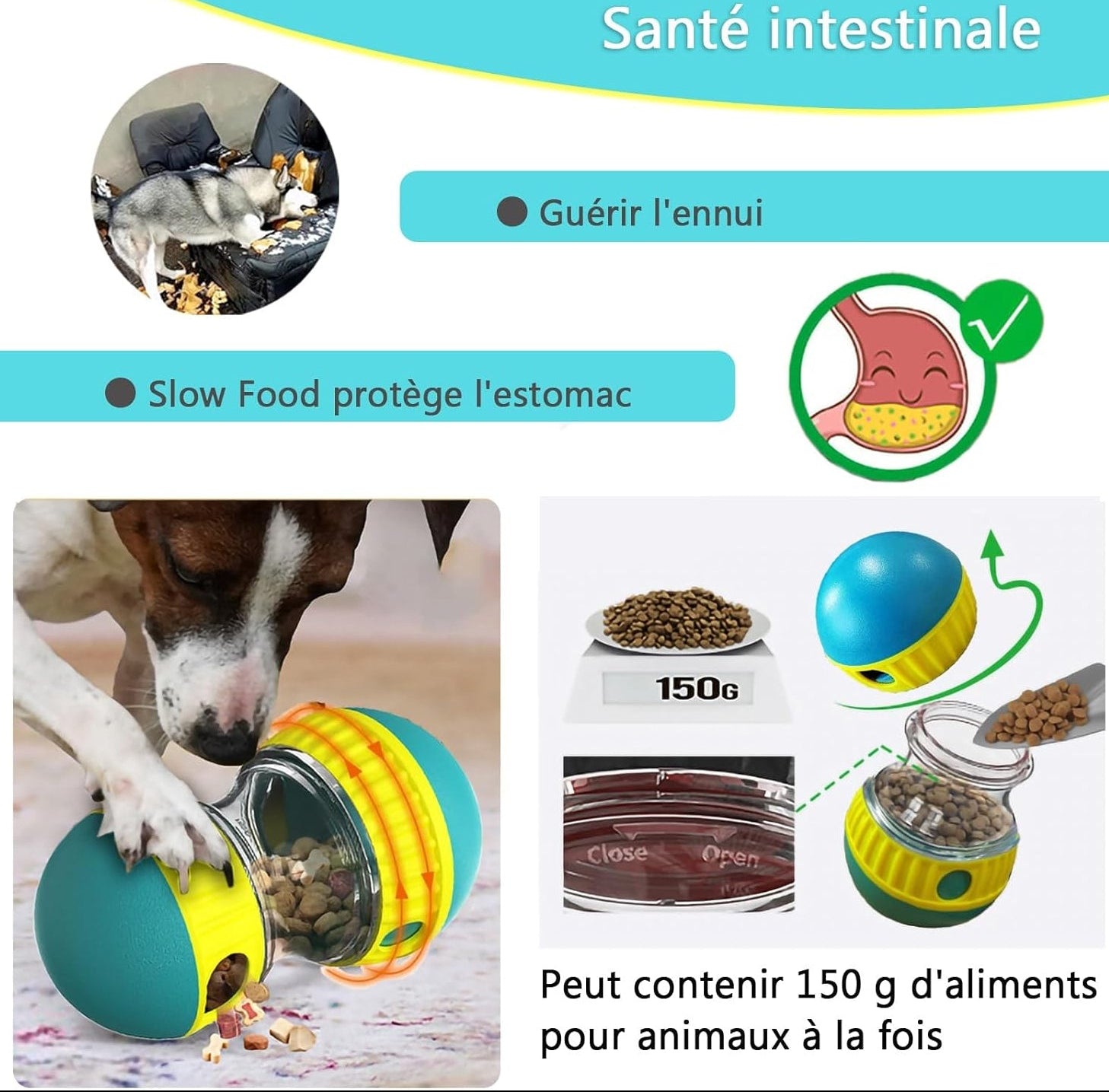 JWTEEE Intelligenzspielzeug Für Hunde, Futterball Für Hunde, Leckerli Ball Für Welpe, Slow Feeder Spielzeugball Für Hundes, Snackball Hundespielzeug, Puzzle Spielzeug (Green)