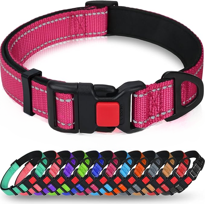 Padded Nylon Dog Collar