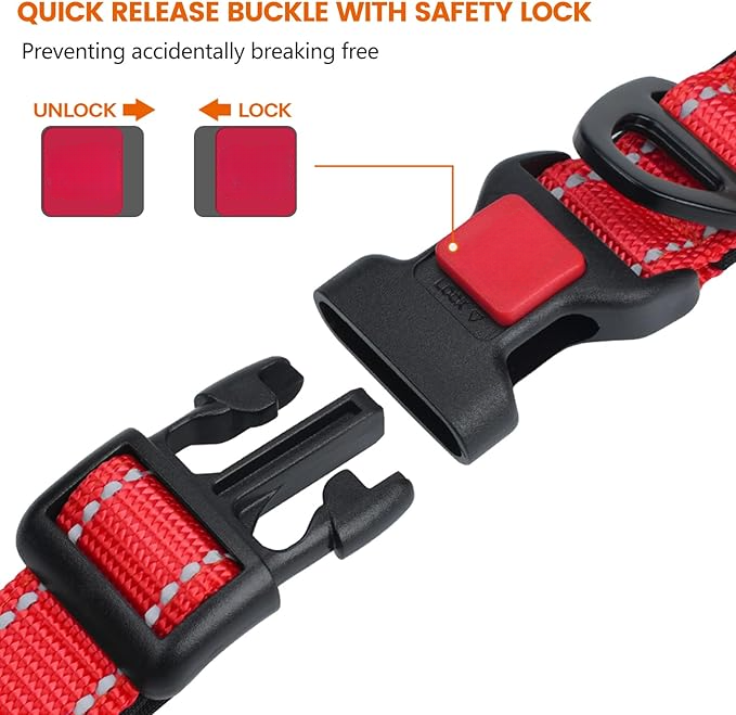 Padded Nylon Dog Collar