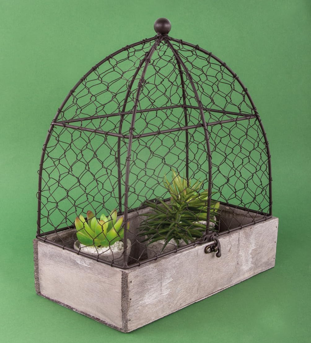 Rayher 46347000 Deko Voliere, 25X14X29Cm