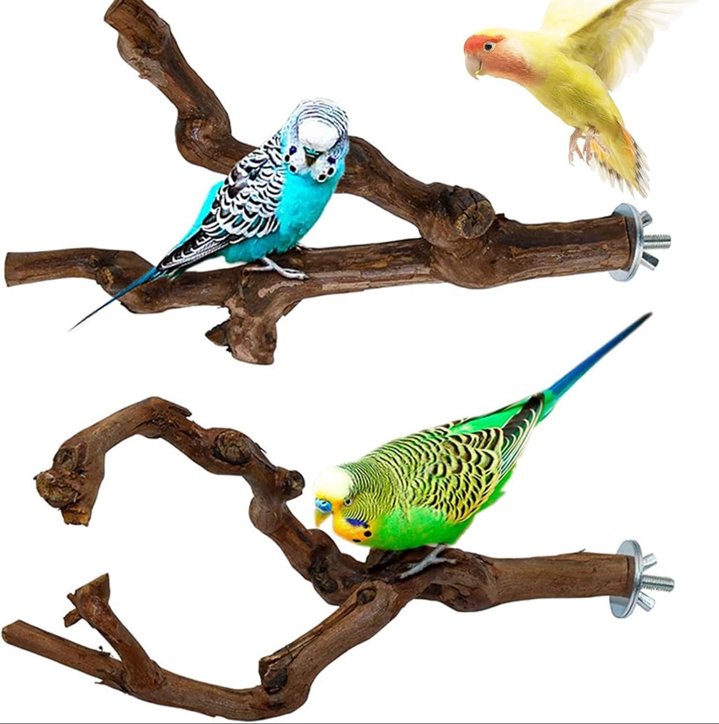 Allazone 9 Stück Naturholz Sitzstangen Set Für Vögel, Papagei Schaukel Spielzeug, Vogelkäfig Zubehör