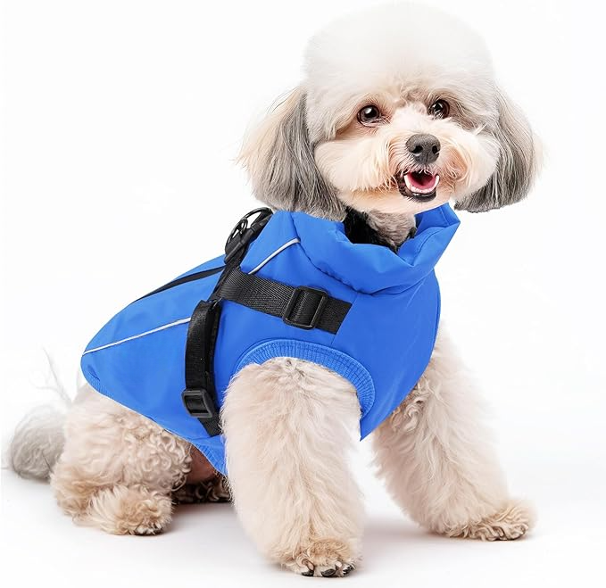 Waterproof Winter Jacket