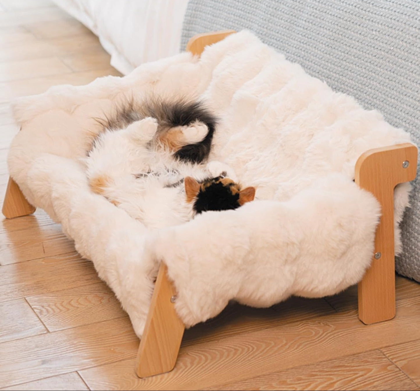 The Cozy Elevated Bed Your Cat Will Instantly Love