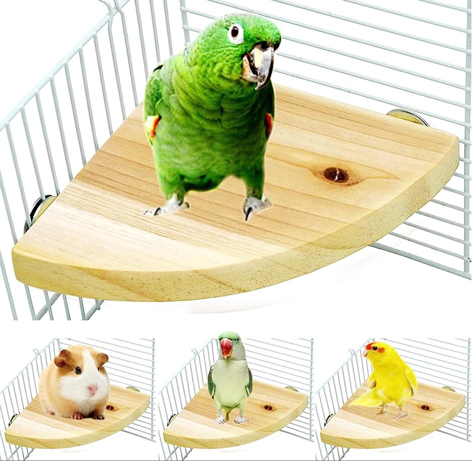 Allazone 5 Stück Sitzstangen Vögel, Naturholz Sitzstangen Natürlicher Sitzstangen Für Vögel Holz, Vögel Spielzeug Vogel Papagei Schaukel Spielzeug