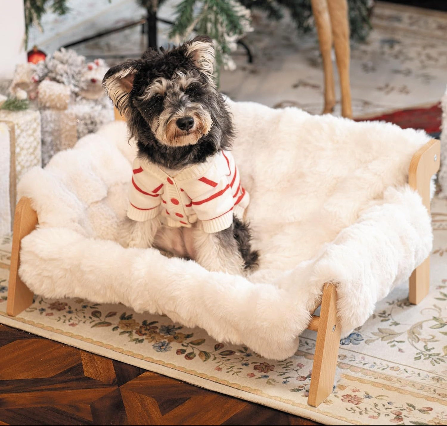 The Cozy Elevated Bed Your Cat Will Instantly Love