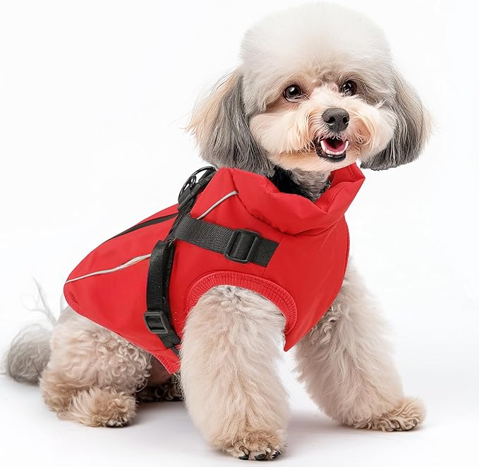 Waterproof Winter Jacket