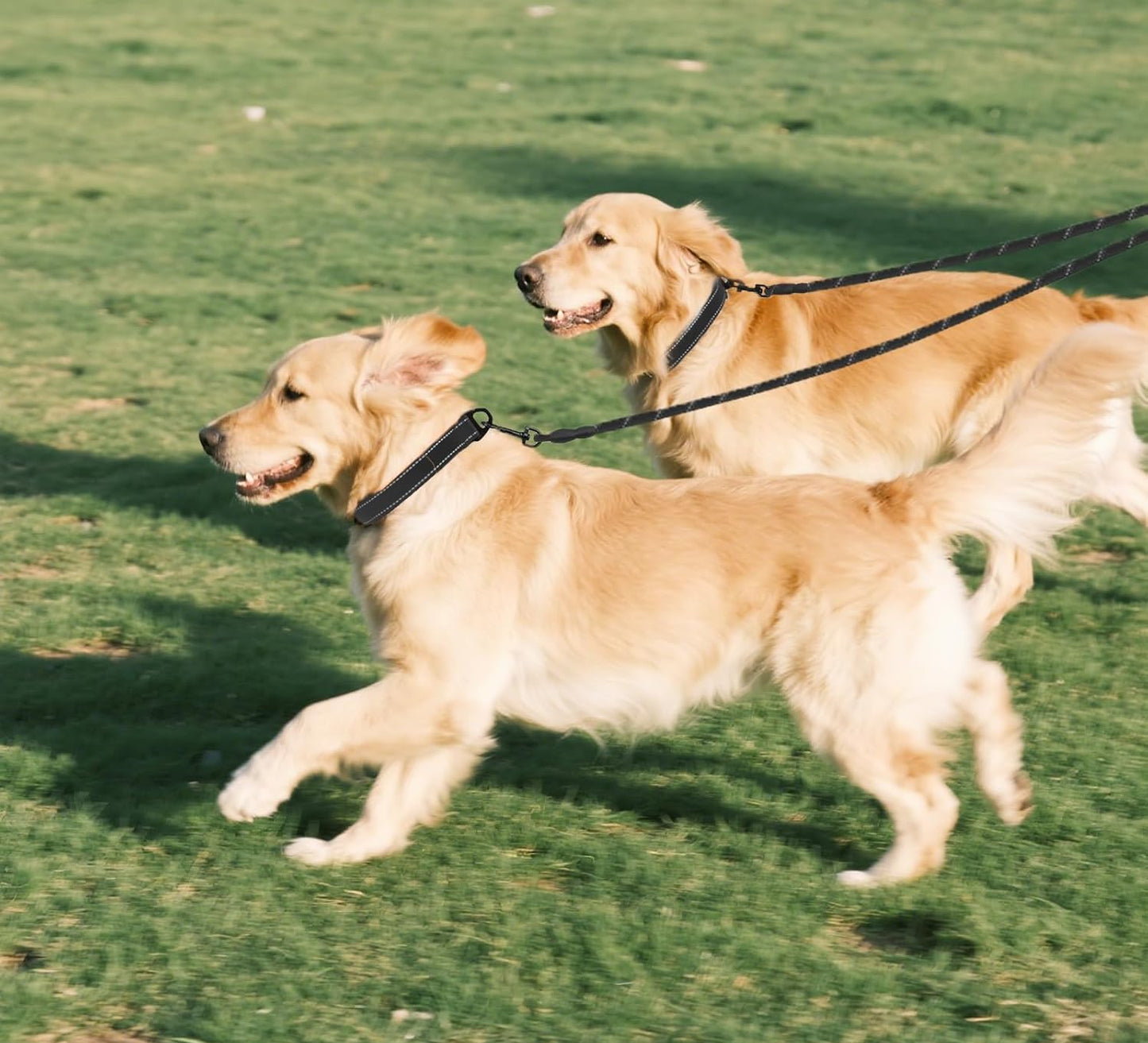 Taglory Doppelte Leinen/Hundeleine Doppelleine Für 2 Hunde/Keine Verwicklung Reflektierend Kletterseil/Verstellbar Splitterleinen/Schwarz