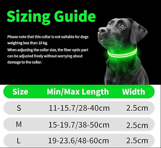 LED Light Dog Collar