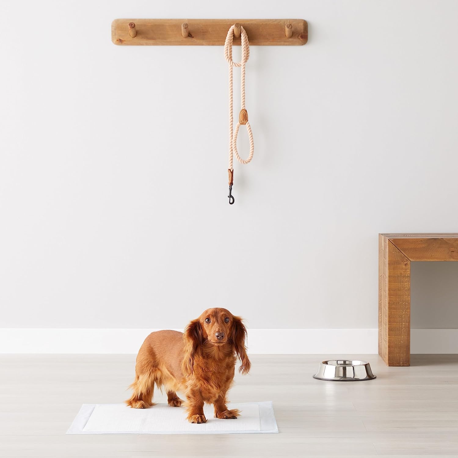 Amazon Basics Trainingspads Für Hunde Und Welpen, Auslaufsicheres 5-Lagiges Design Mit Schnell Trocknender Oberfläche, Normale Größe, 50 Stück, Blau