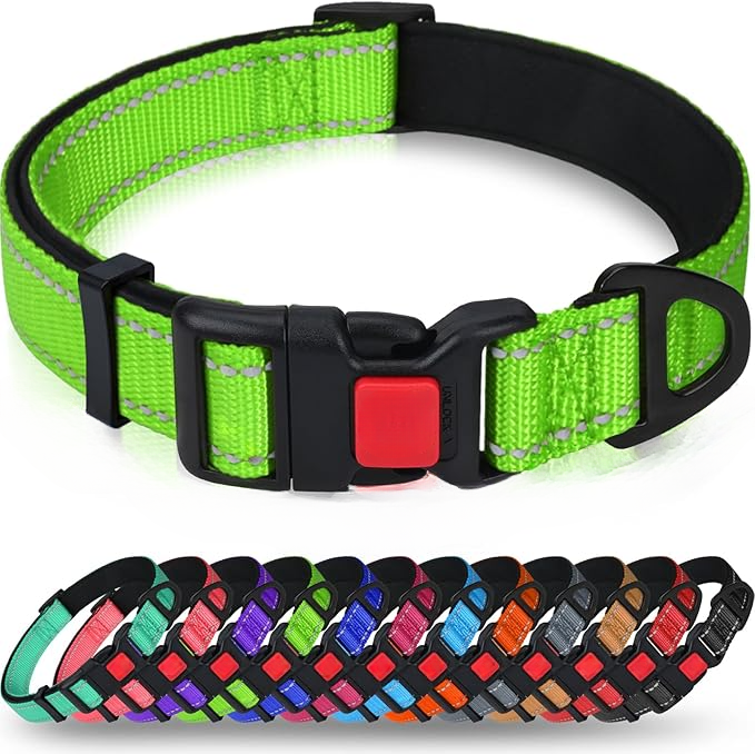 Padded Nylon Dog Collar