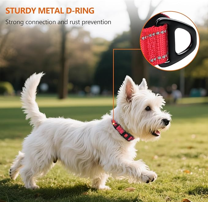 Padded Nylon Dog Collar