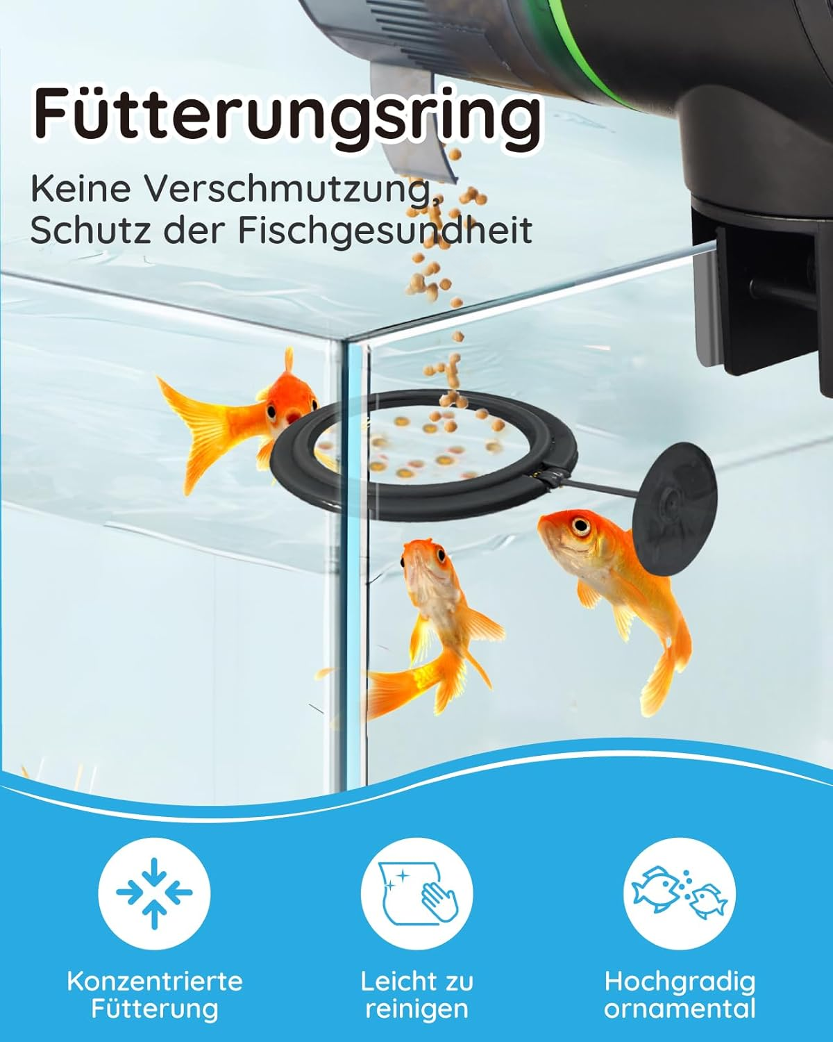 Automatic Fish Feeder