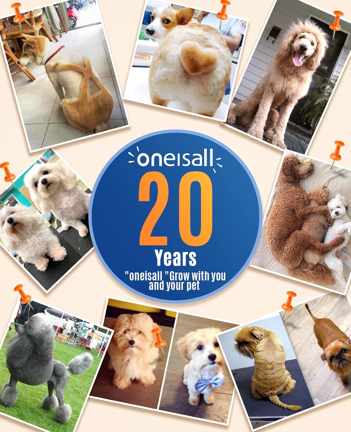 Oneisall Pfotentrimmer Für Hunde Mit Doppelklingen, 2-Gang Schermaschine Hund Pfoten Leise Hundeschermaschine Für Pfoten, Augen, Ohren, Gesicht, Körper (Weiß)