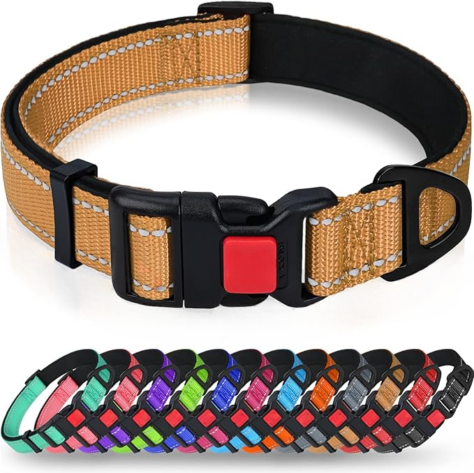 Padded Nylon Dog Collar