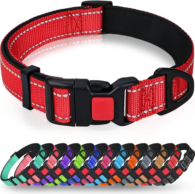 Padded Nylon Dog Collar