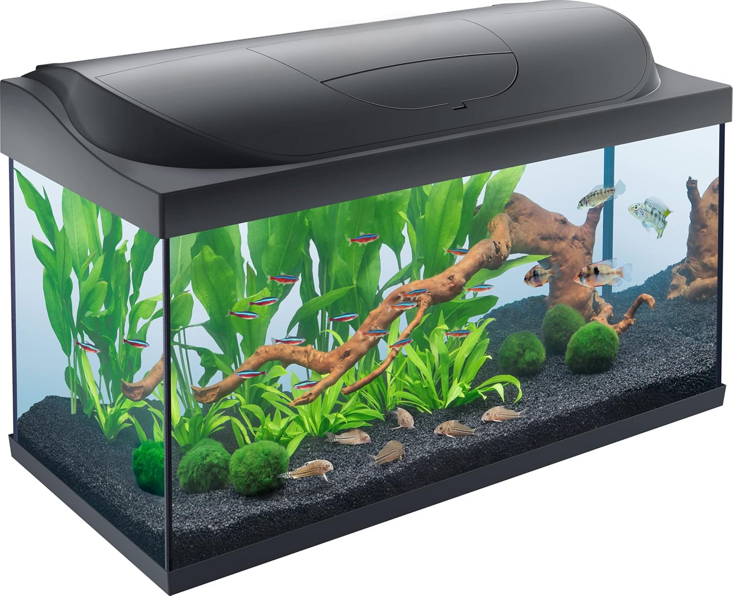 Aquarium 80L/105L