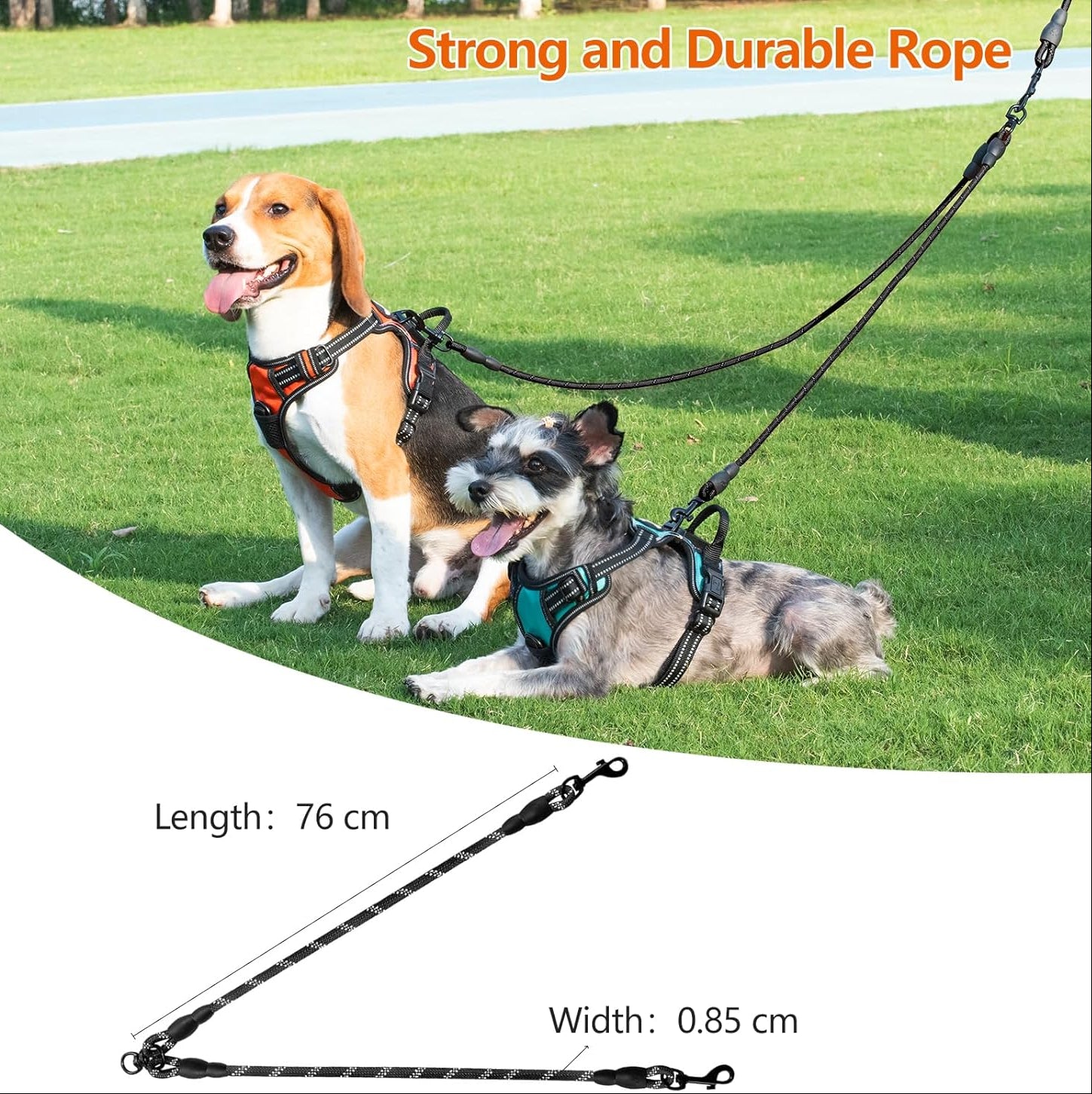 Taglory Doppelte Leinen/Hundeleine Doppelleine Für 2 Hunde/Keine Verwicklung Reflektierend Kletterseil/Verstellbar Splitterleinen/Schwarz
