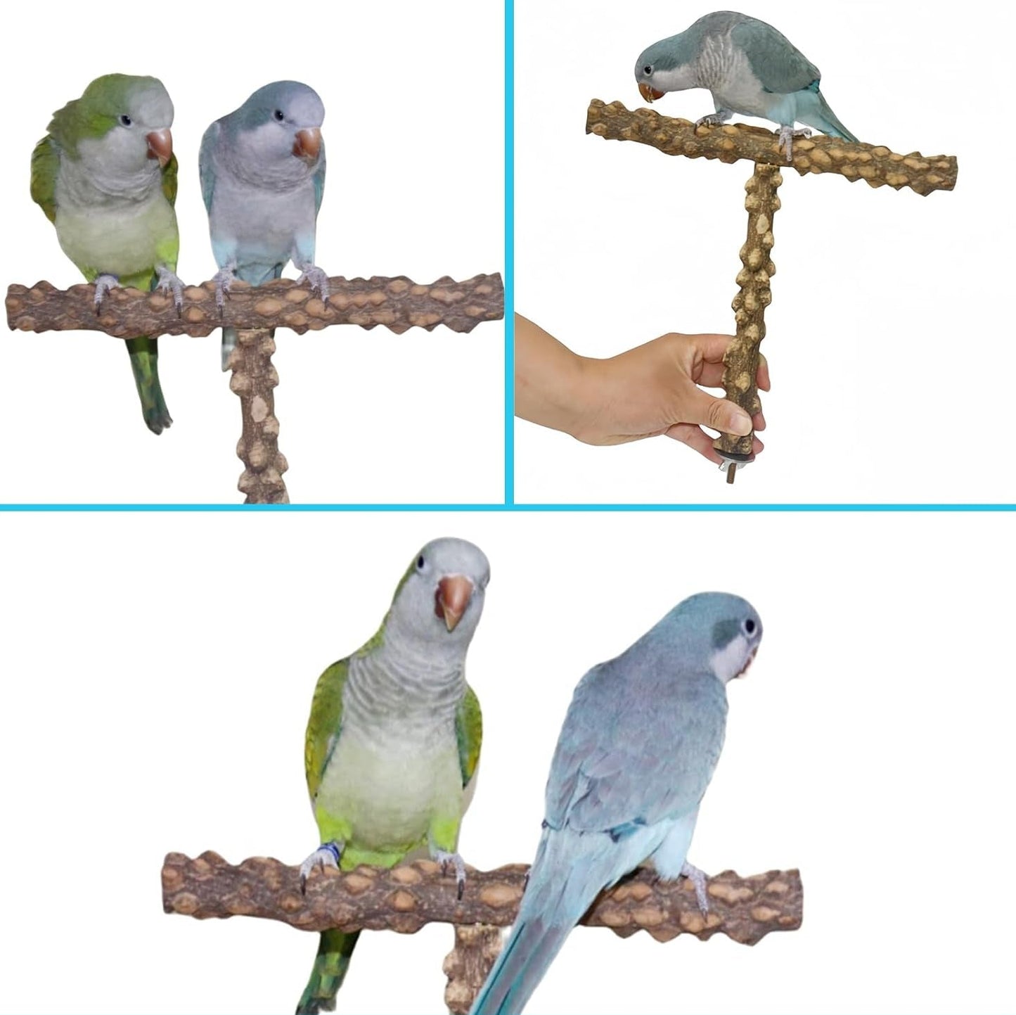 Allazone Natur Sitzstangen Für Vögel - 7 Stück Holz Vögel Sitzstangen, Papagei Schaukel Spielzeug