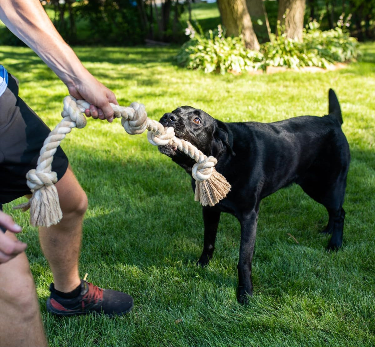 Fida Hundespielzeug Aus Seil Für Aggressive Kauer, Interaktives, Robustes Hundespielzeug Für Mittelgroße Und Große Hunde, Robustes Gedrehtes Seilspielzeug Mit 5 Knoten
