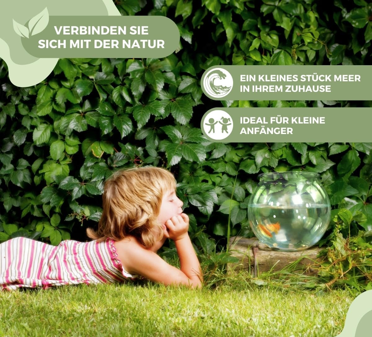 Nemo Ball Aquarium 4L