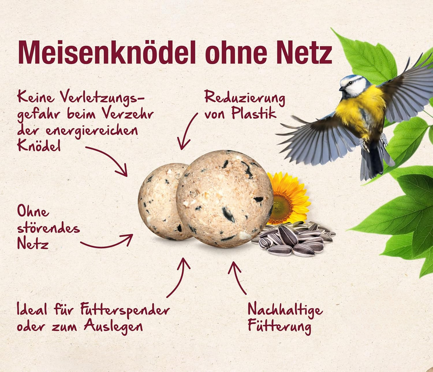 Insect Fat Balls 2.5kg