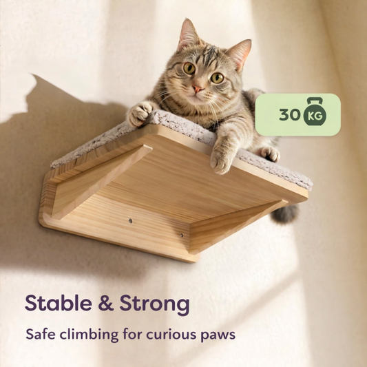 Set da parete per arrampicata per gatti