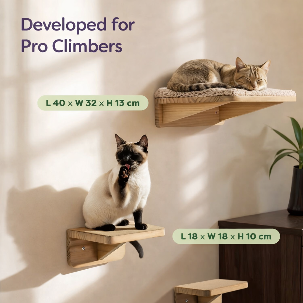 Set da parete per arrampicata per gatti