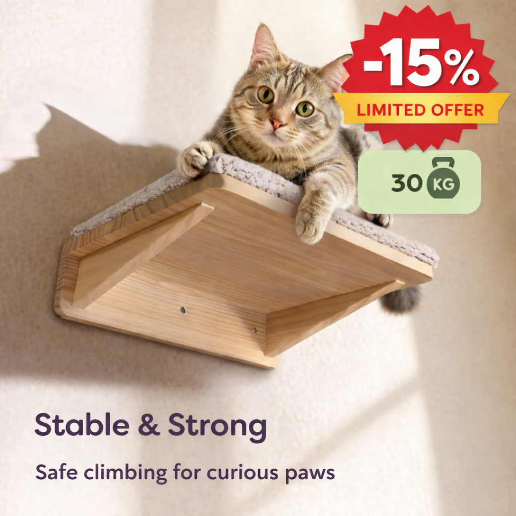 MAJESTIQ Vertical Estate – Cat Climbing