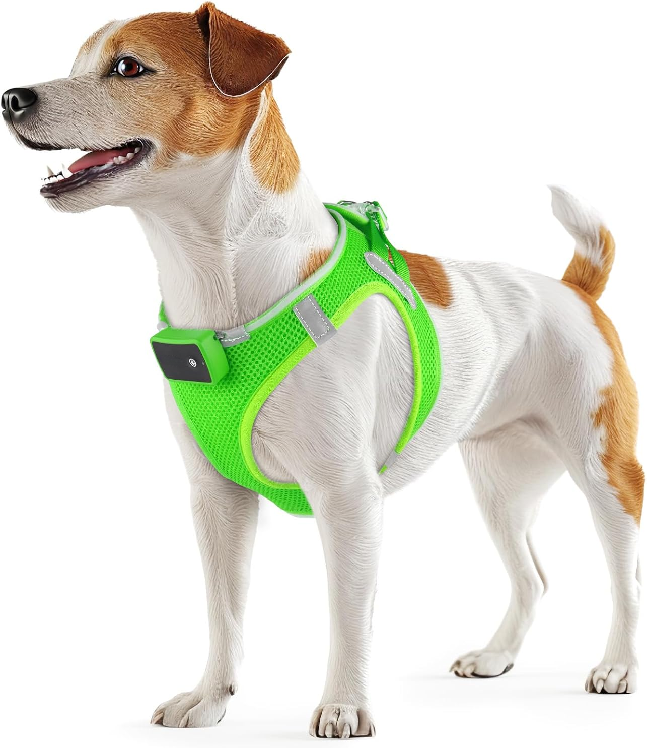 LED Light Dog Harness