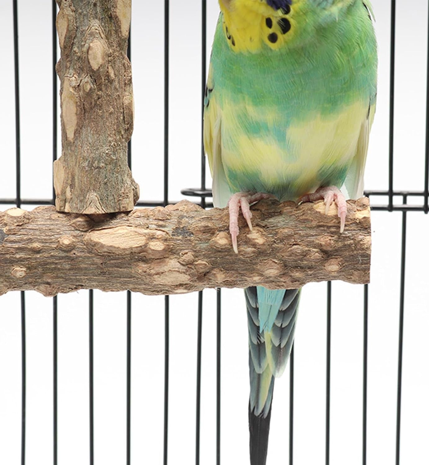 Allazone Natur Sitzstangen Vögel, 7 Stück Natürlicher Sitzstangen Für Vögel Holz, Sitzstangen Vögel, Vögel Spielzeug Vogel Papagei Schaukel Spielzeug