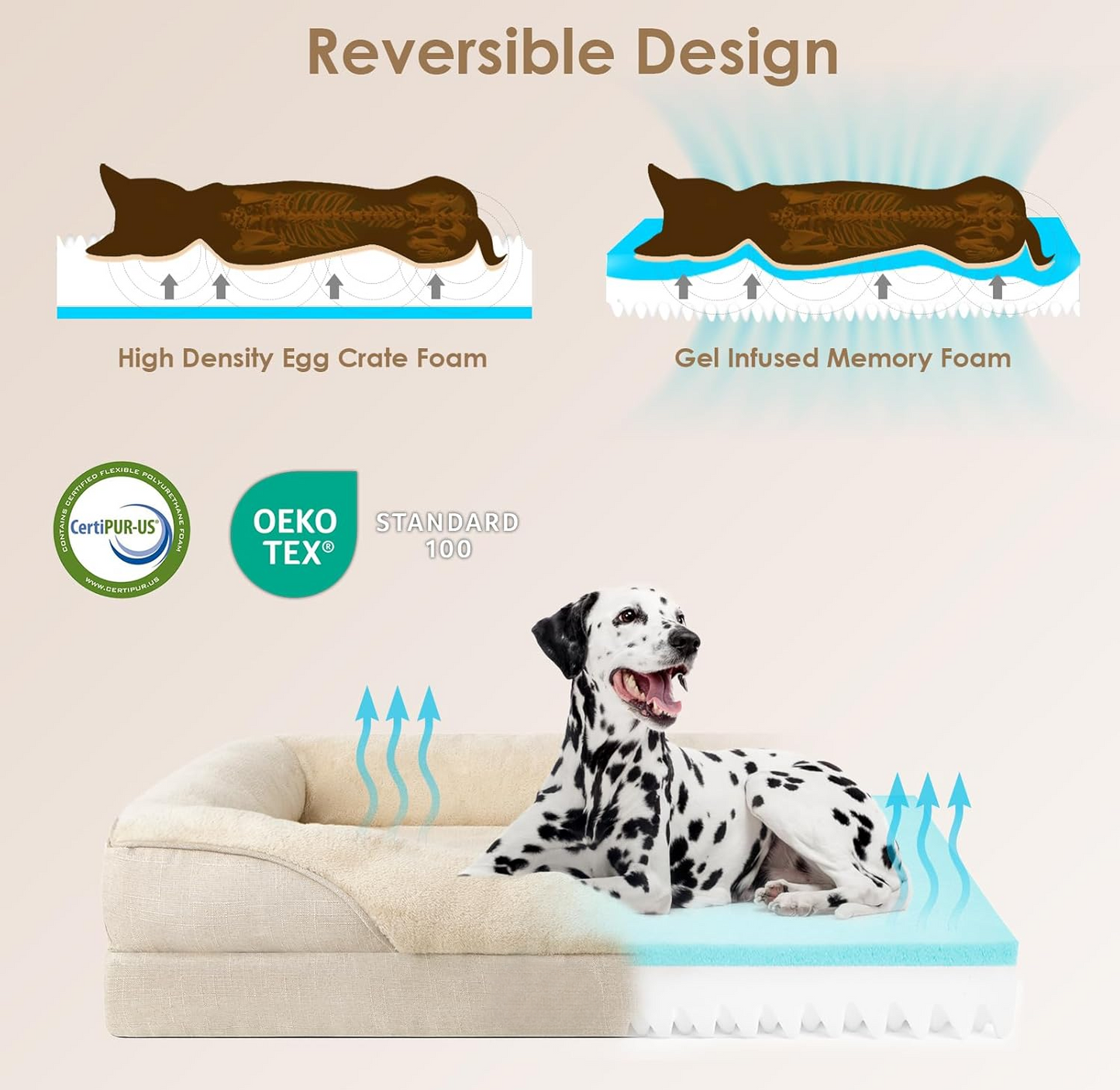 Orthopedic Dog Bed